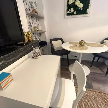 Cozy, Quiet, Studio Next Business School 公寓 枫丹白露